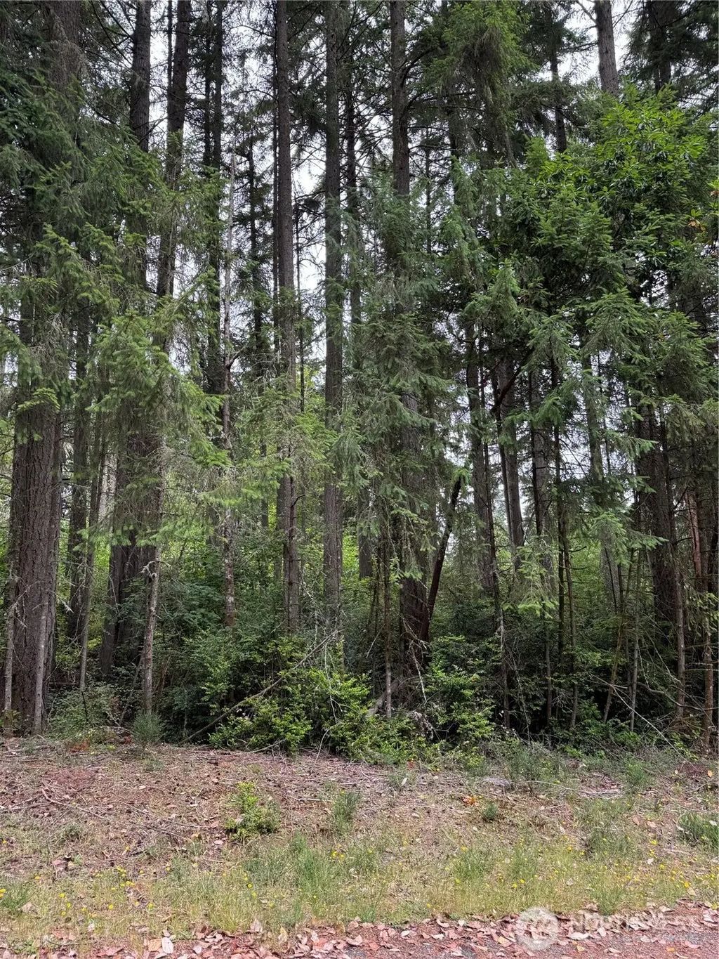 12216 Wapato Road, Anderson Island