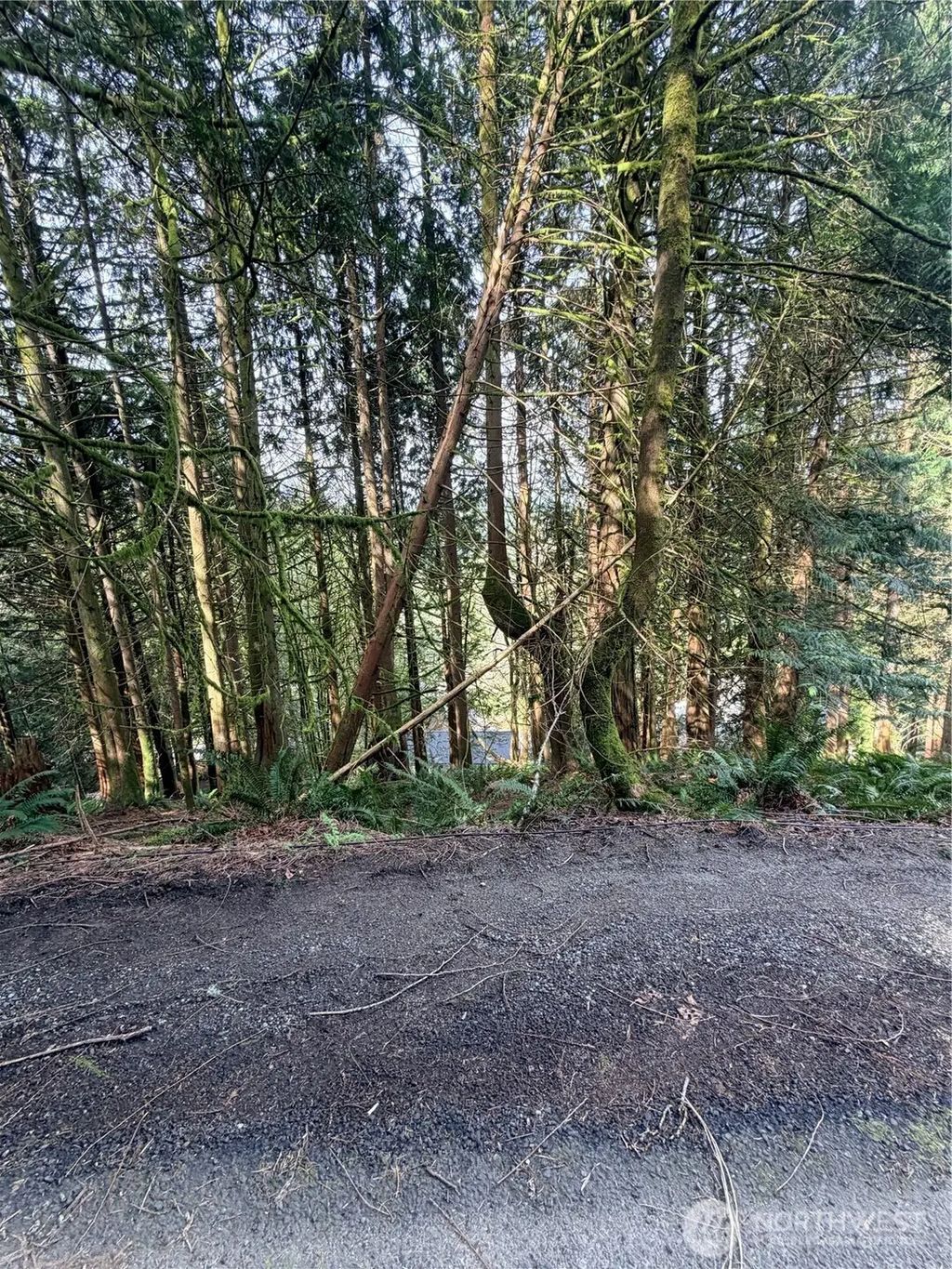 12 Valley View Circle, Bellingham