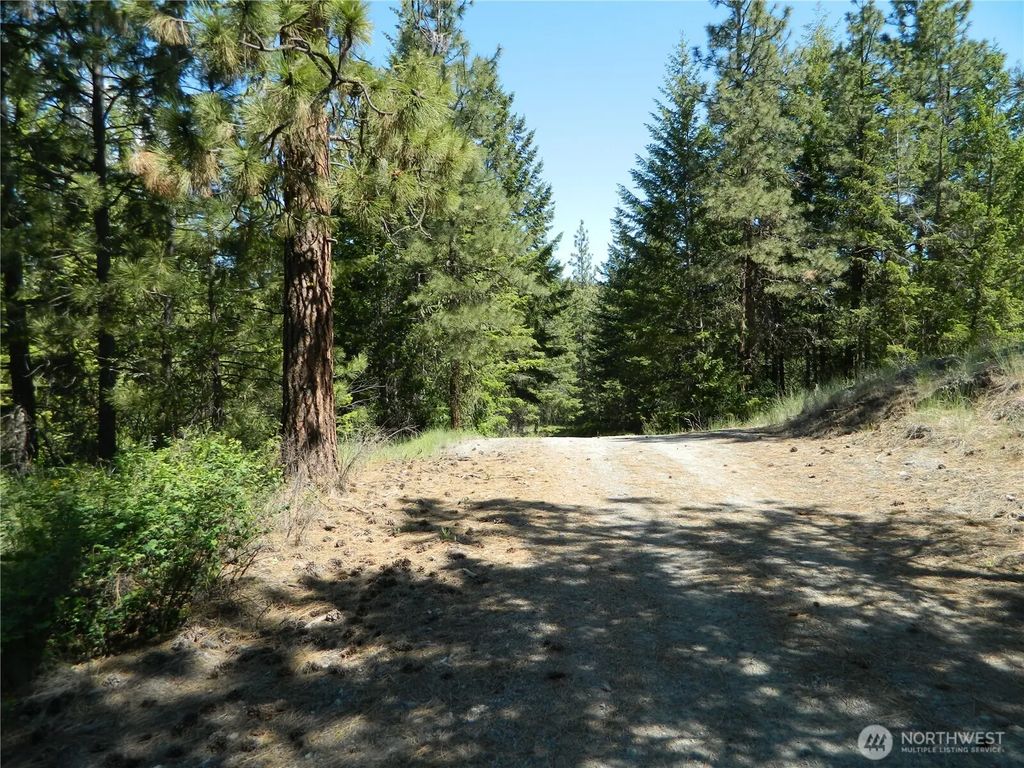 Tbd Murphy Ranch Road, Tonasket