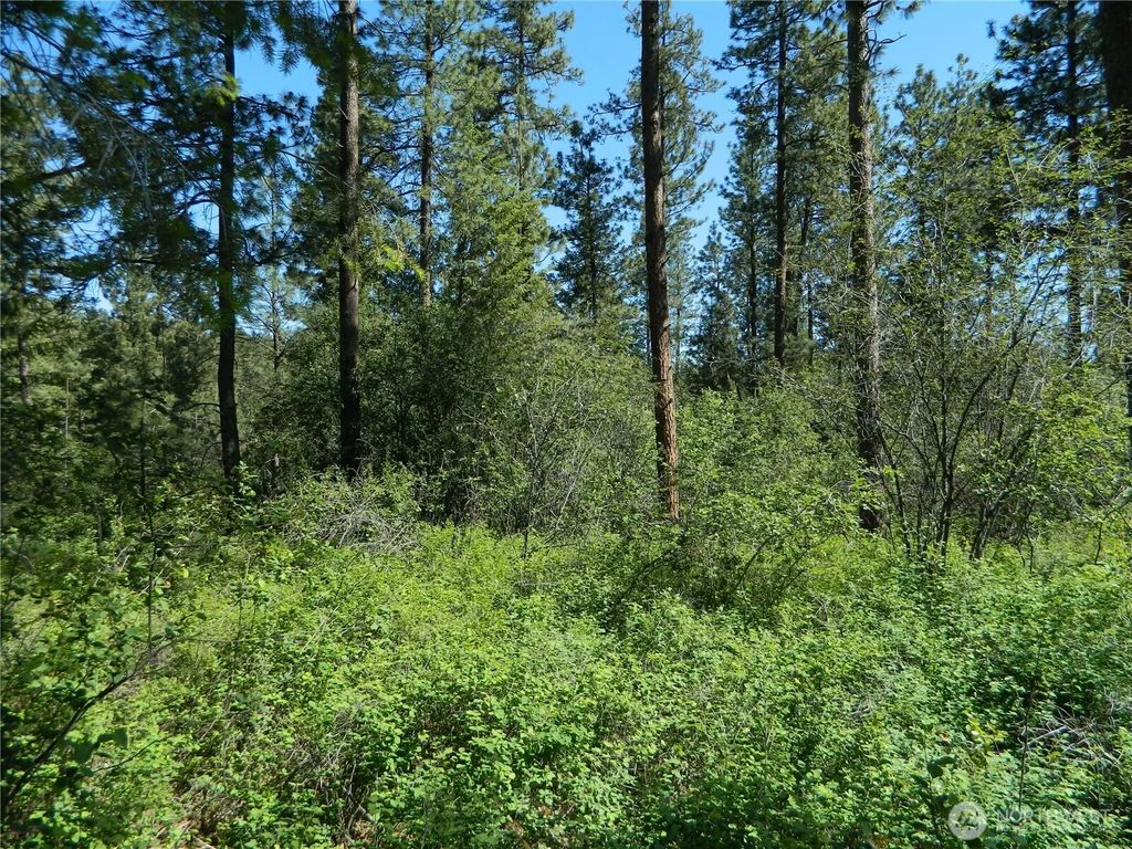 111 Tbd Murphy Ranch Road, Tonasket