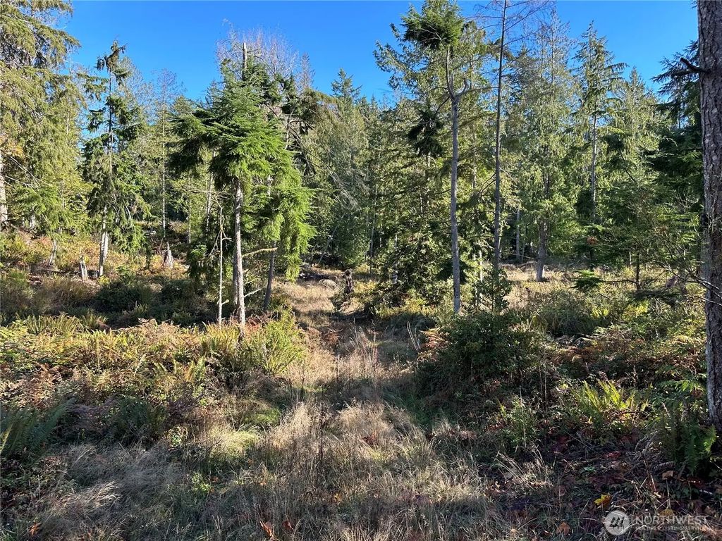 6 Lilypad Place E, Port Orchard