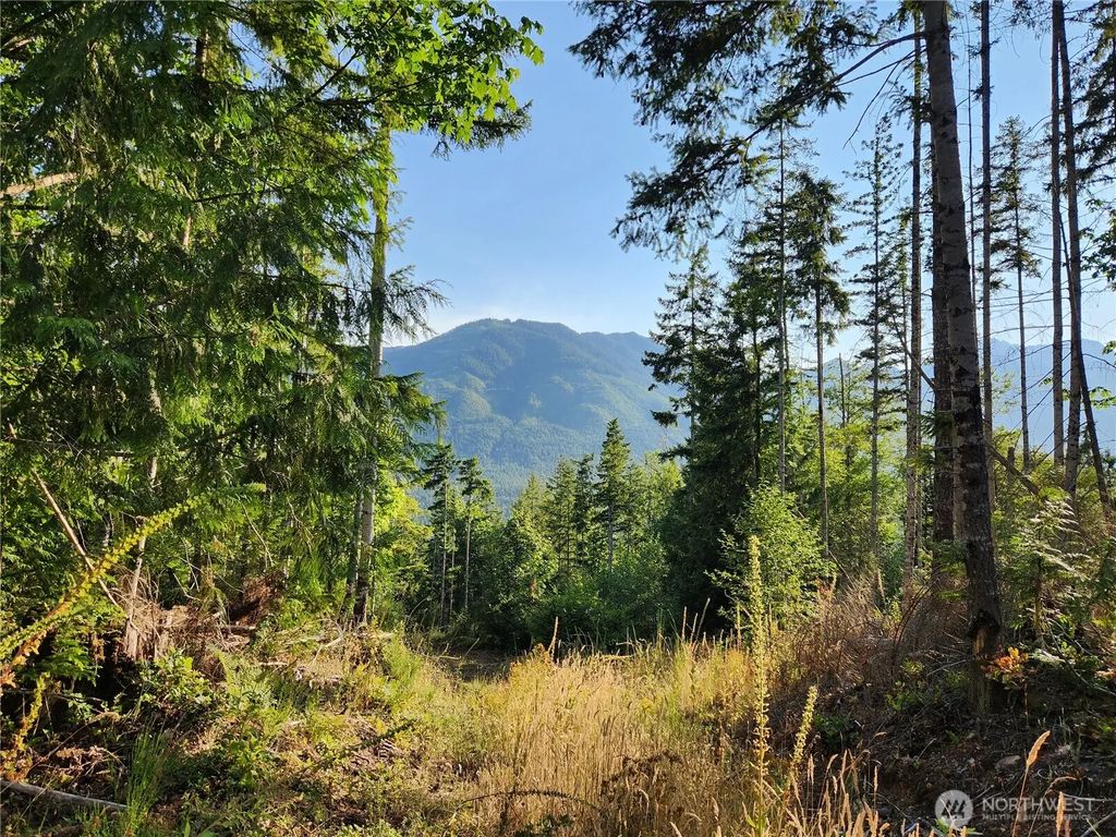 Rocky Brook Rd Lot I, Brinnon