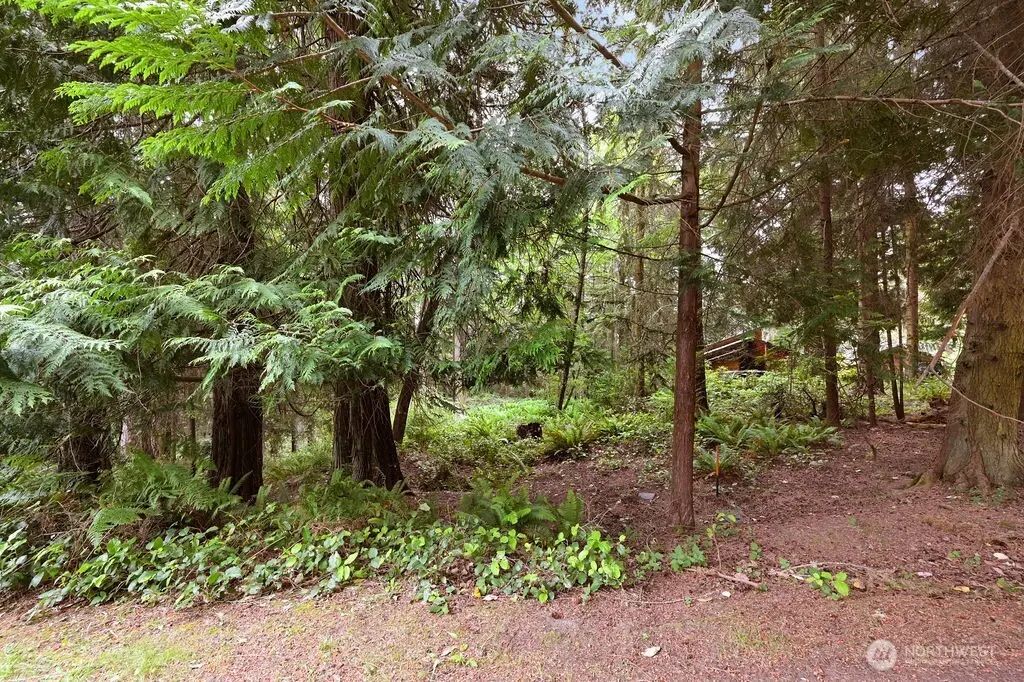 241 Belvedere Drive, Port Townsend