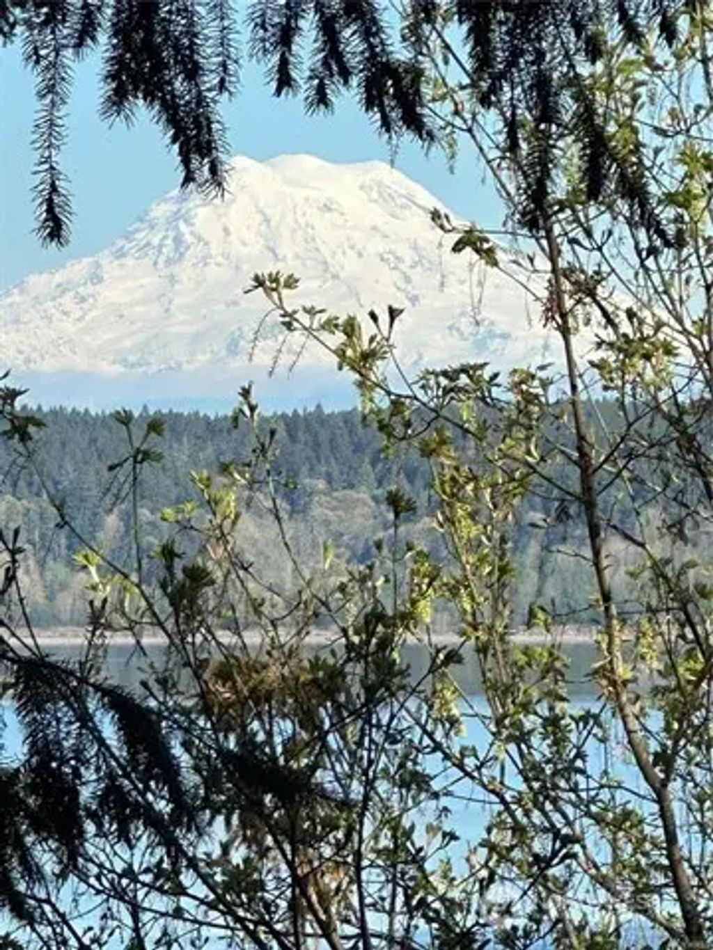 10911 Seaview Drive, Anderson Island