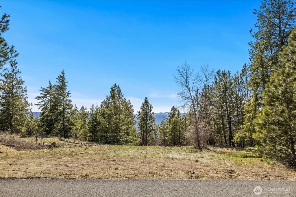 80 Forest Ridge (lot 80) Drive, Cle Elum
