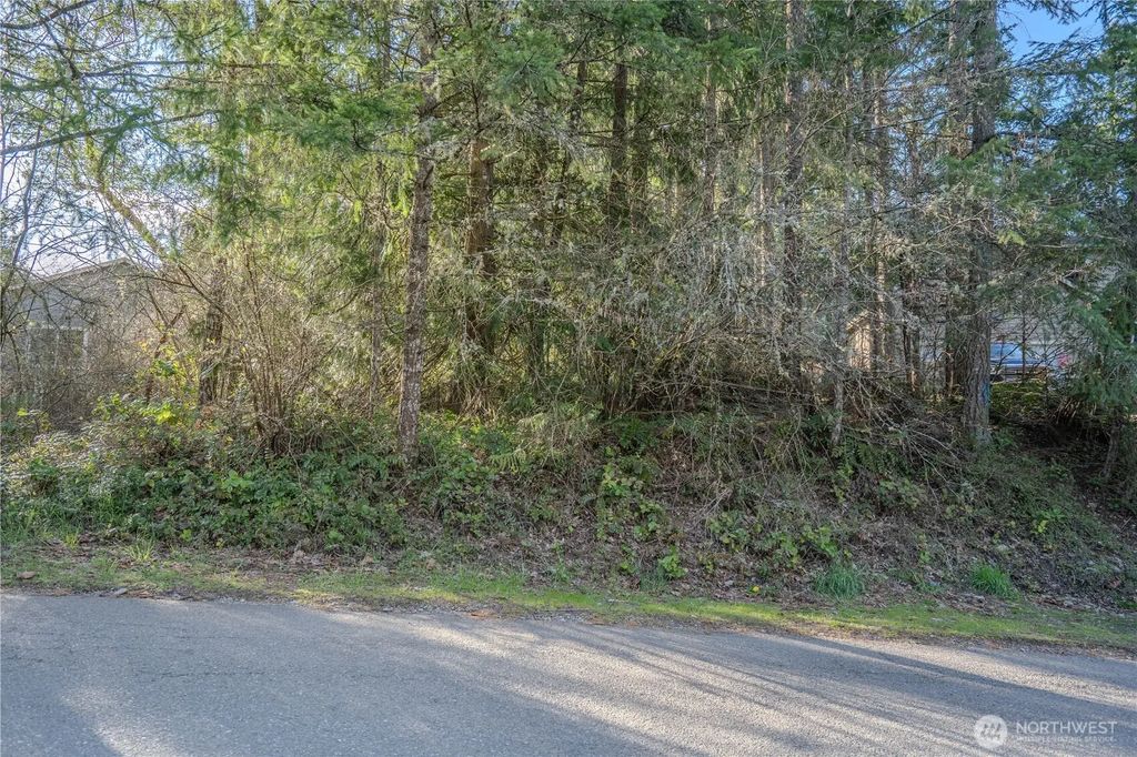 22025 Blue Water Drive Se, Yelm