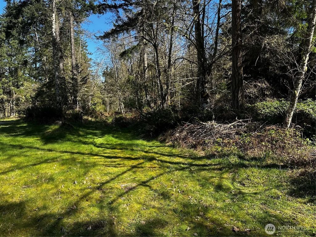 999 Lot 2 Robinson Road, Port Angeles