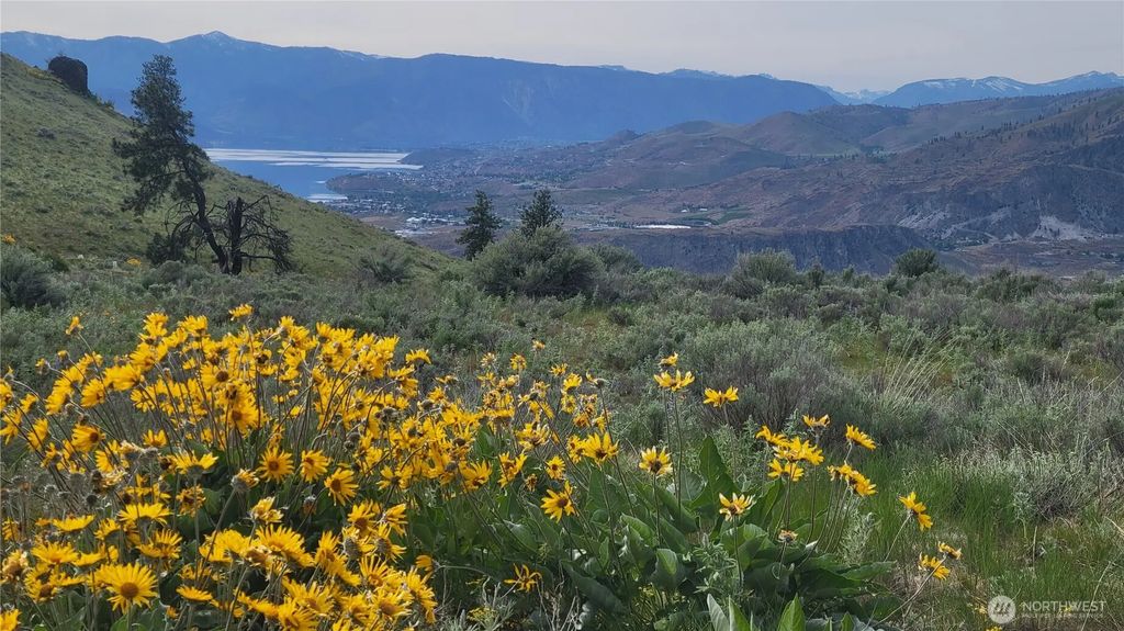 Coyote's Curve Road, Orondo