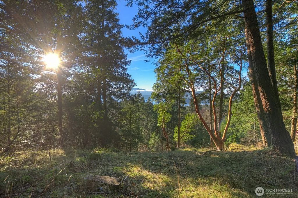 558 Buck Mt. Road, Orcas Island