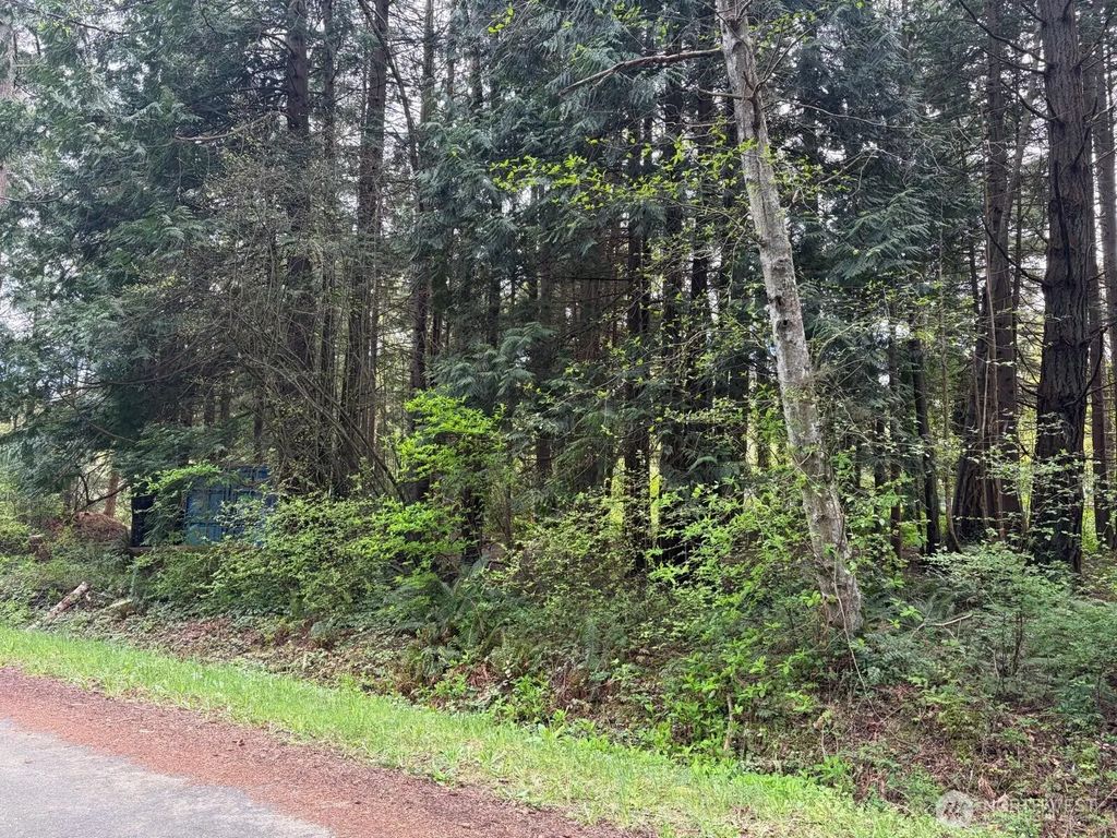 318 Madrona Place, Point Roberts