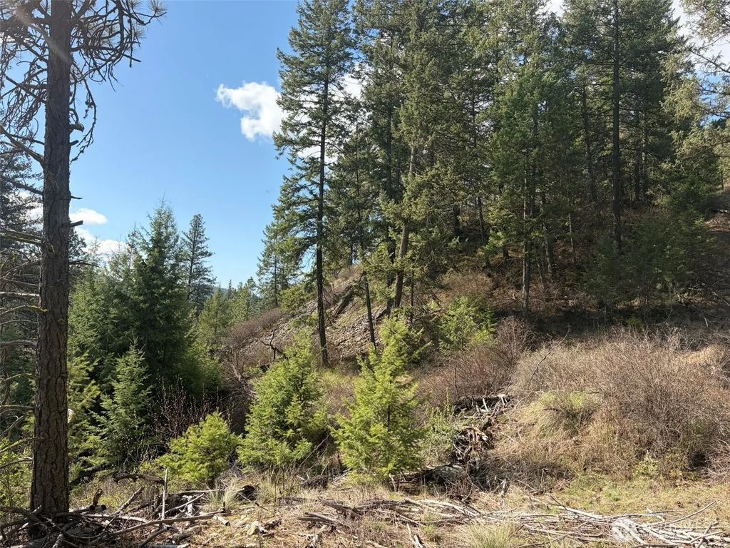 111 Tbd West Curlew Lake Road, Republic