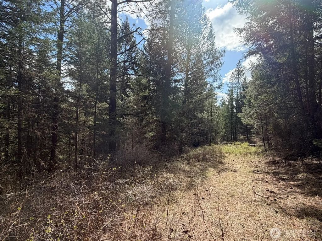 111 Tbd W West Curlew Lake Road, Republic