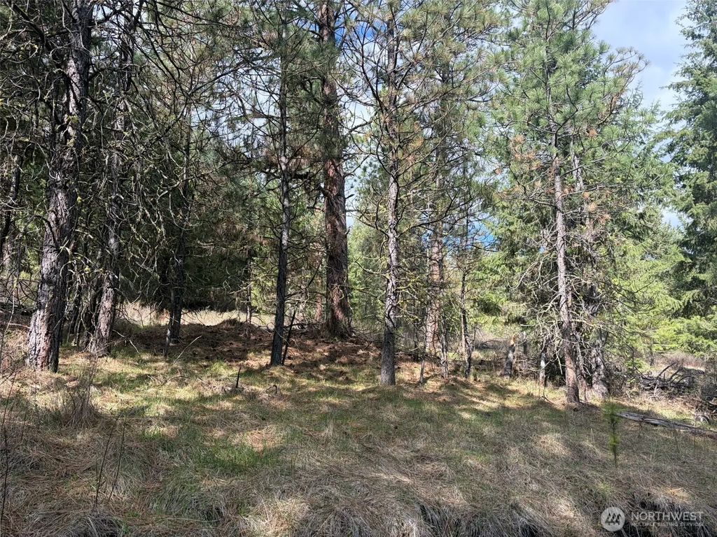 111 Tbd E West Curlew Lake Road, Republic