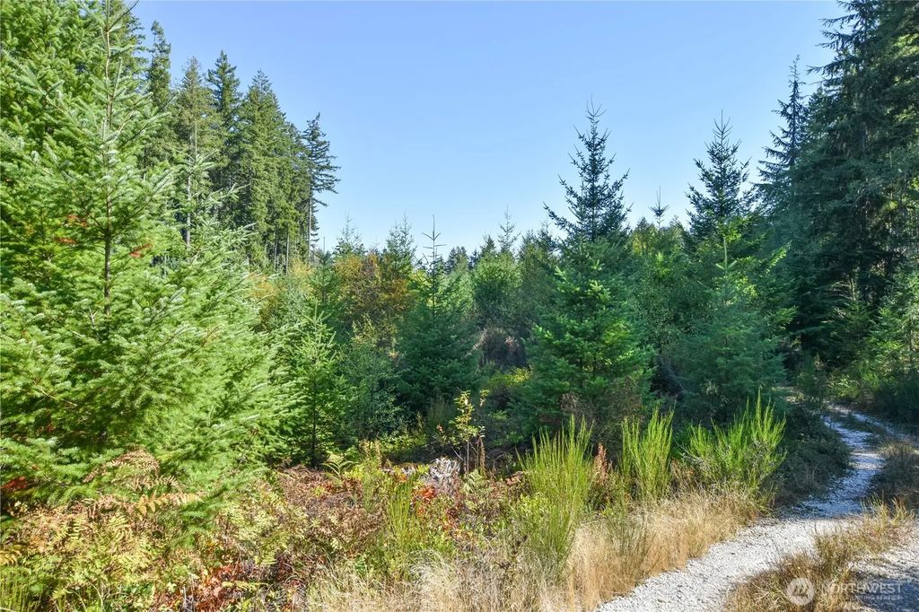 20 Acres Sw Hunter Road, Port Orchard