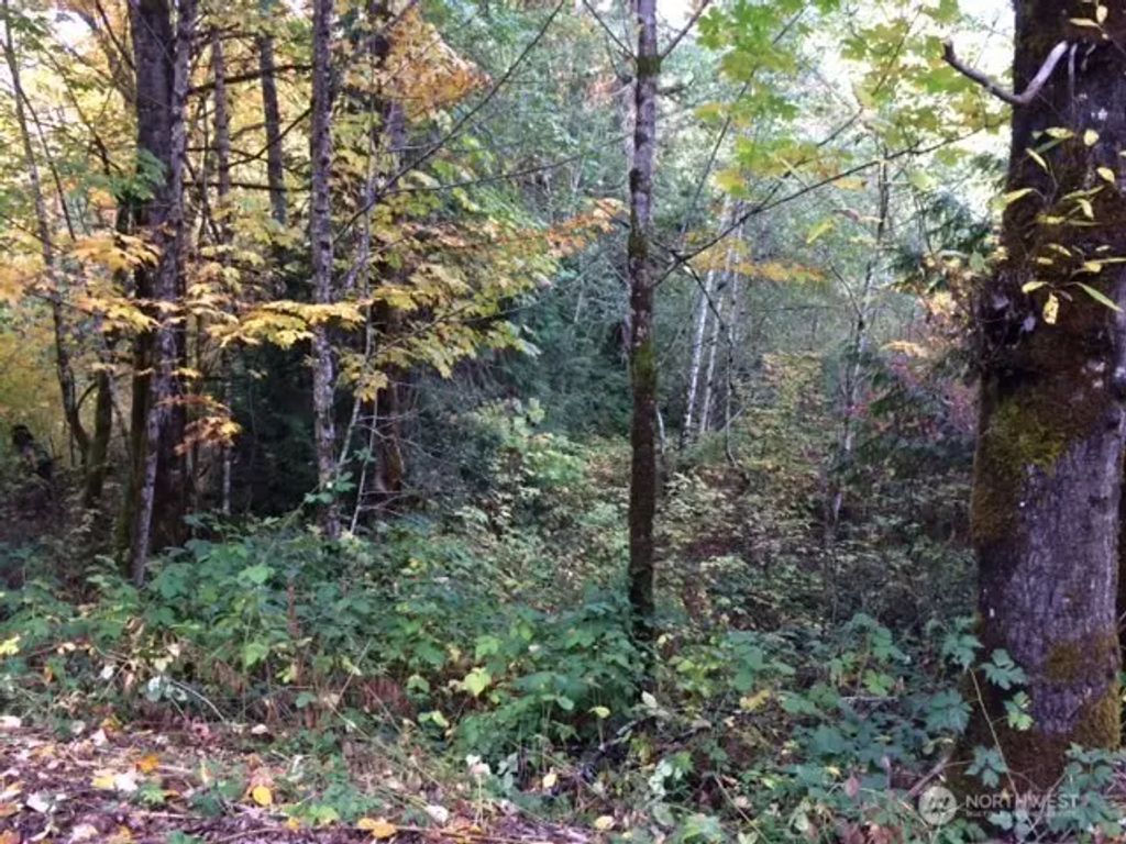 25116 Se 146th Street, Issaquah
