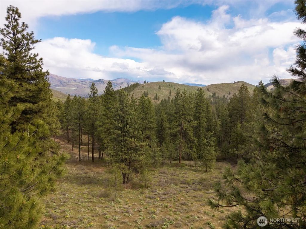 9 Whitebark Lane, Winthrop