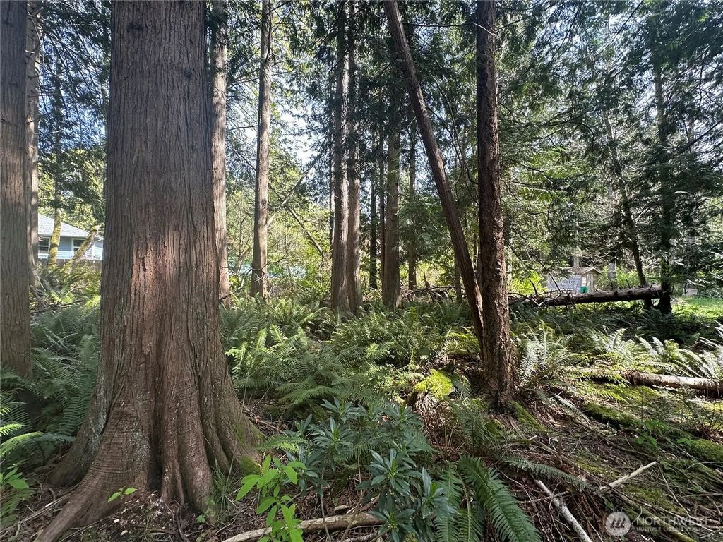 Lot 9 Tyee Drive, Point Roberts