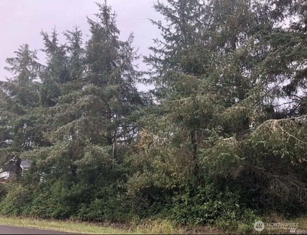 649 Weatherwax Loop Ne, Ocean Shores