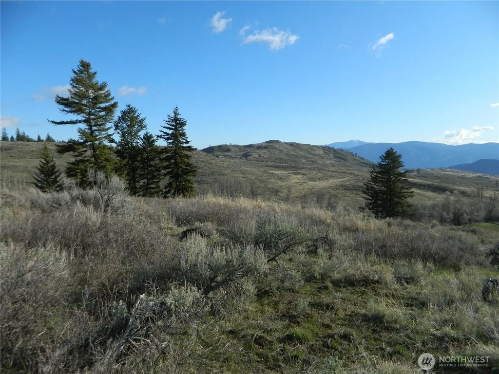 Tbd Ellemeham Ridge Road, Tonasket