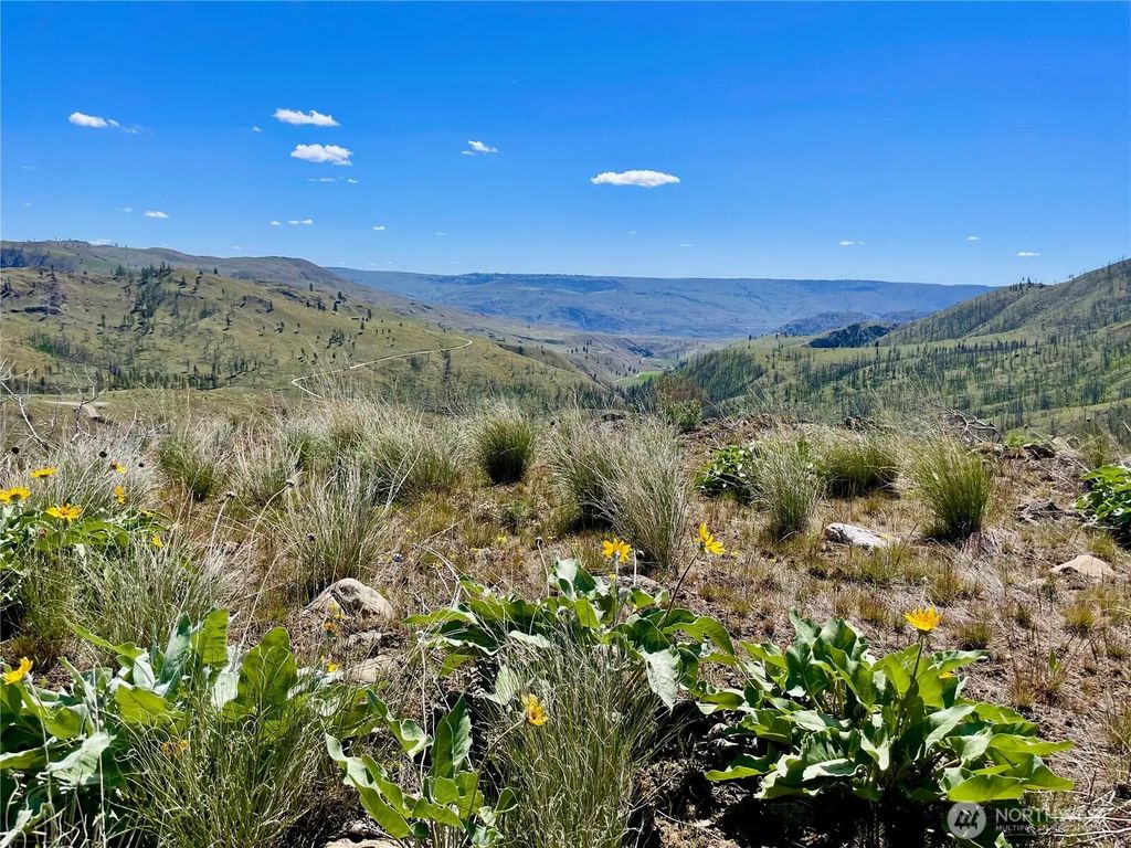436 Antoine Creek Road G, Chelan