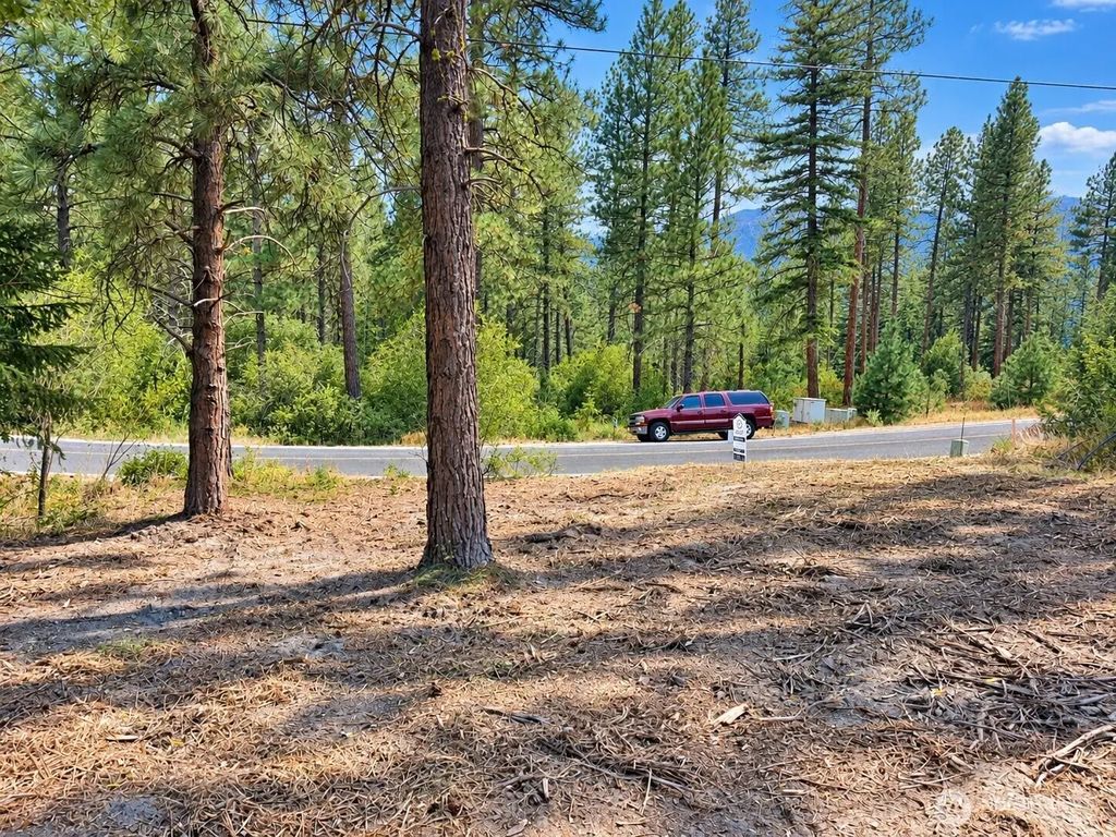 22103 Camp 12 Road, Leavenworth