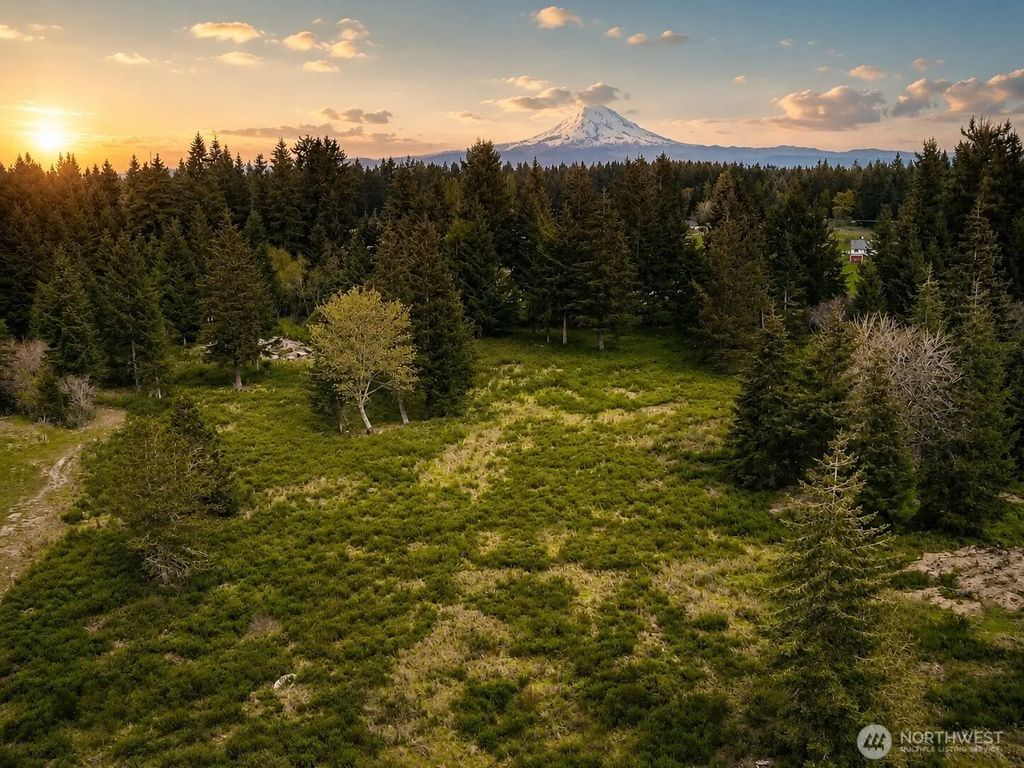 14543 Lindsay Loop Se, Yelm