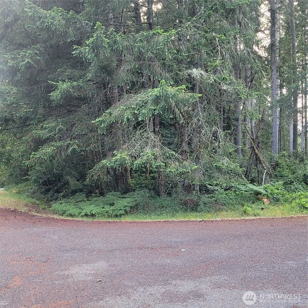 8922 129th Avenue Ct, Anderson Island