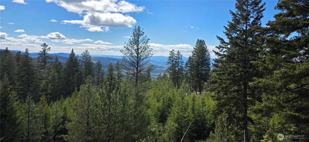 1112 Tbd Bandtman Creek Rd, Tonasket