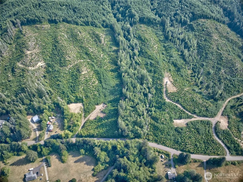 0 Tract 4 South Valley Rd, Naselle
