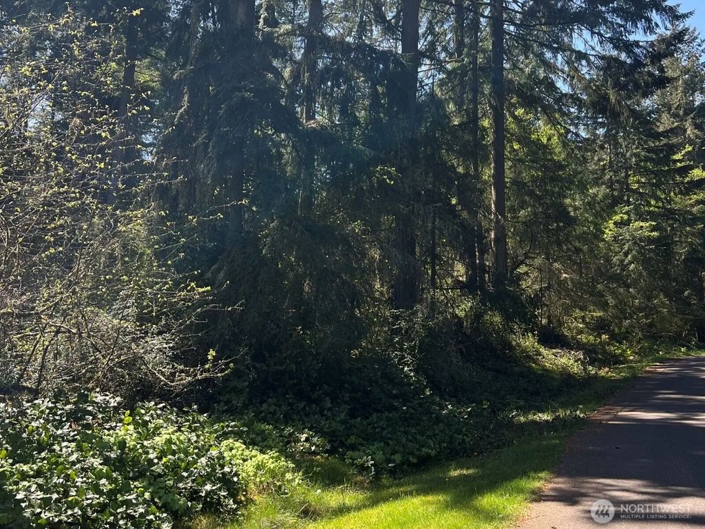 10404 Suncrest Drive, Anderson Island