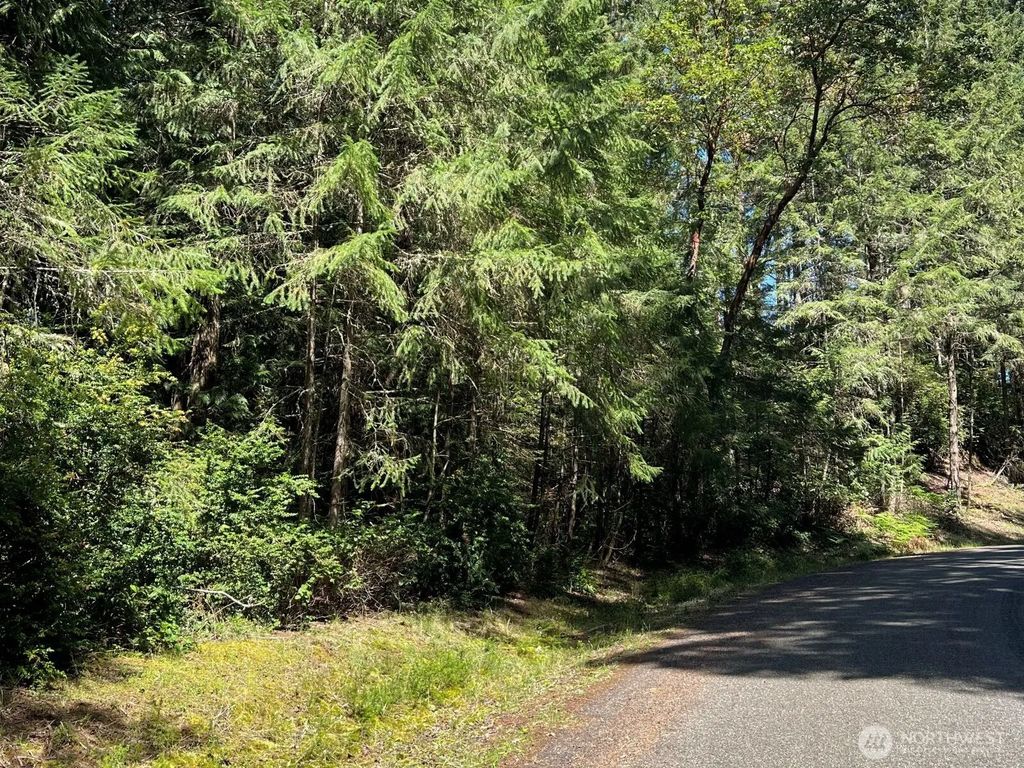 10919 Suncrest Drive, Anderson Island