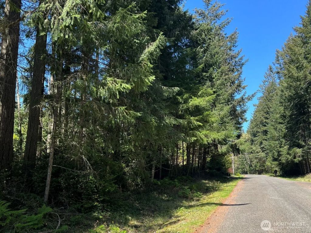 10312 Paine Road, Anderson Island
