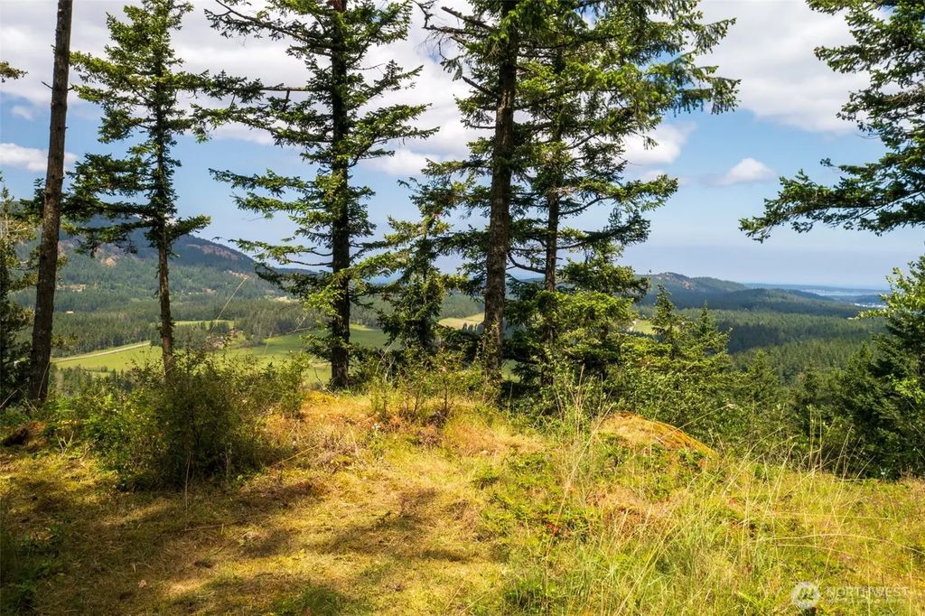 1700 Mountain Crest, Orcas Island