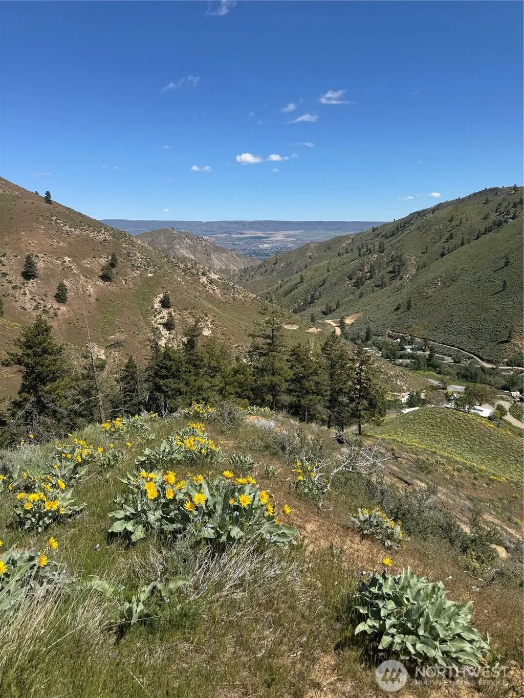 Uphill Lane, Wenatchee