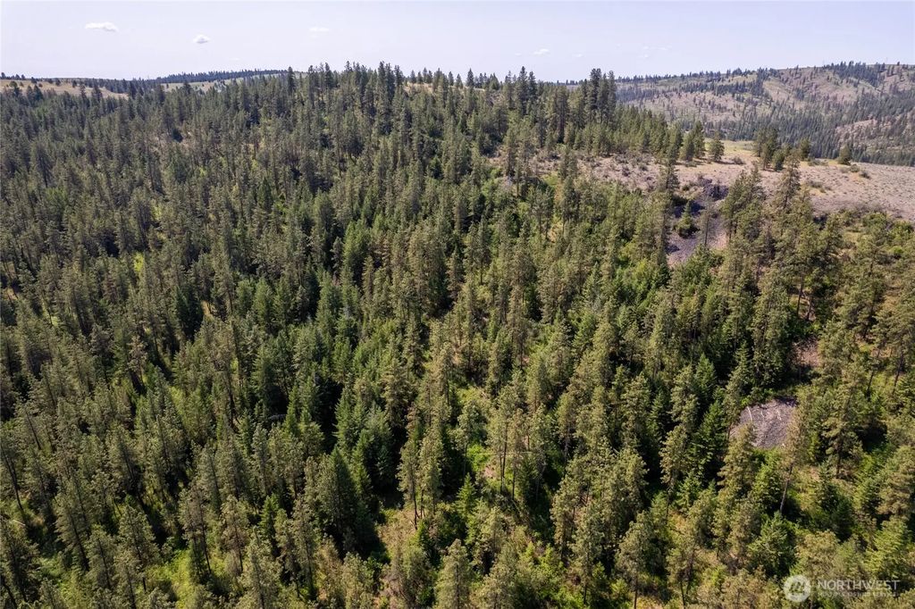 Peter Dan Creek Rd, Coulee Dam