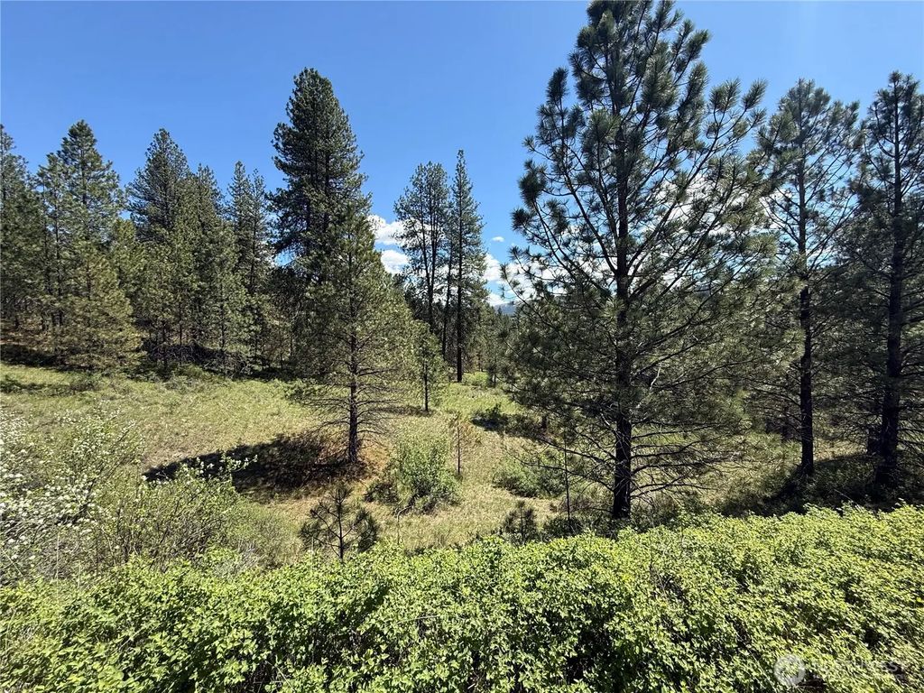0 Tbd Fir Lane, Curlew