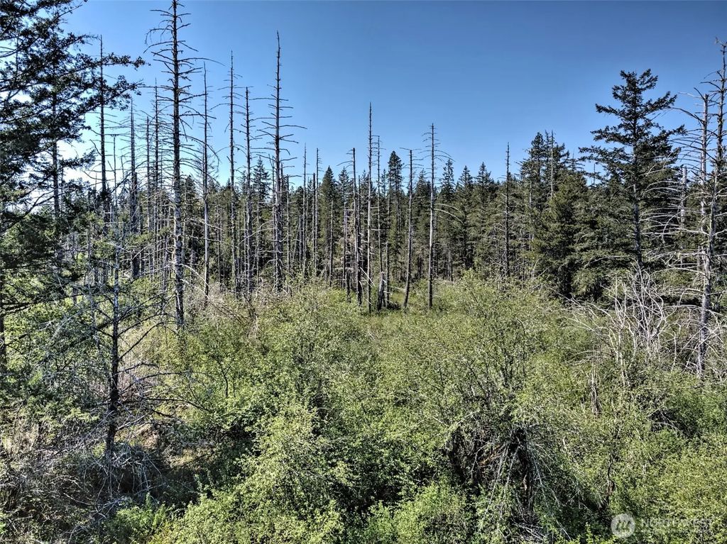 1161 Ne Toonerville Drive, Belfair
