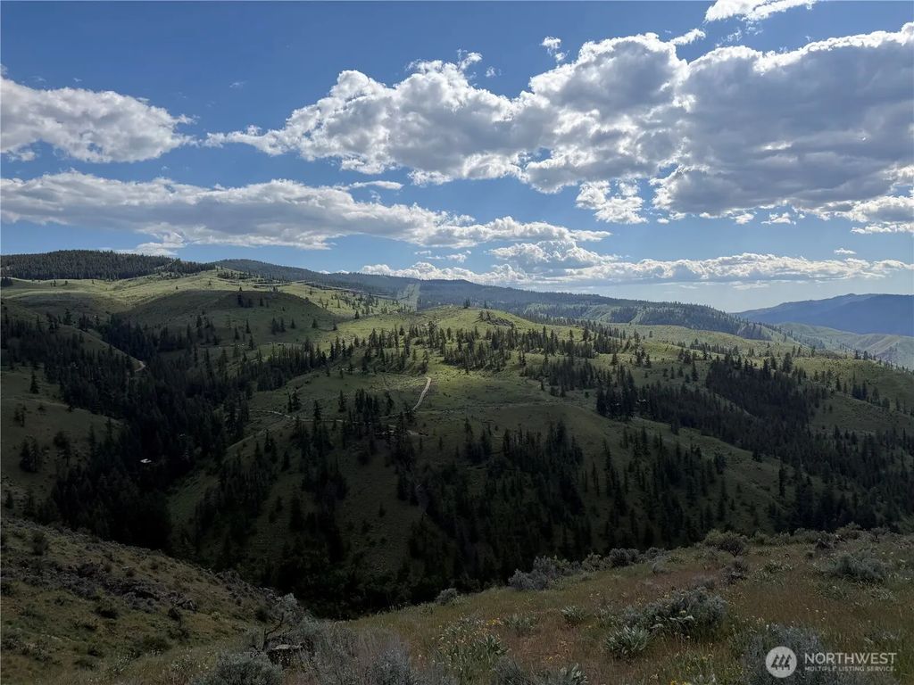 Tyee View Loop, Waterville