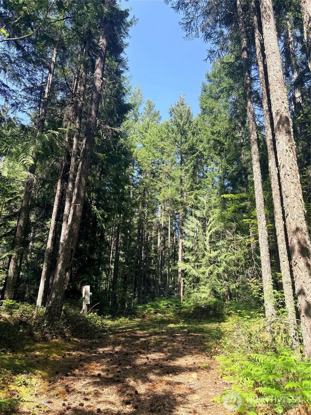 30 N Skokomish Drive, Hoodsport