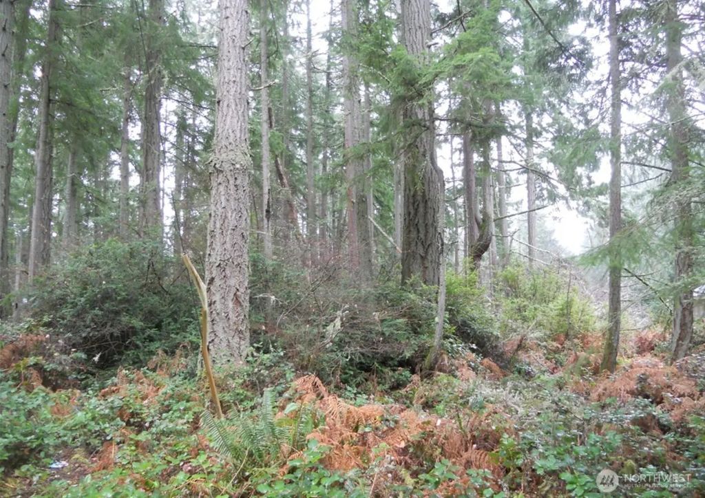 10315 107th Avenue Ct, Anderson Island