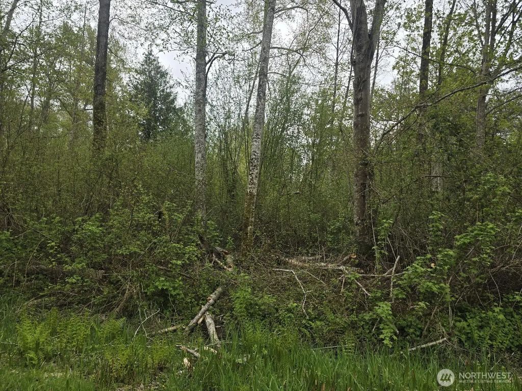 Shorewood Lane, Bellingham