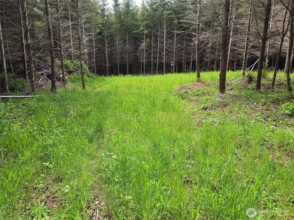 7 Beaver Hill Lane, Montesano