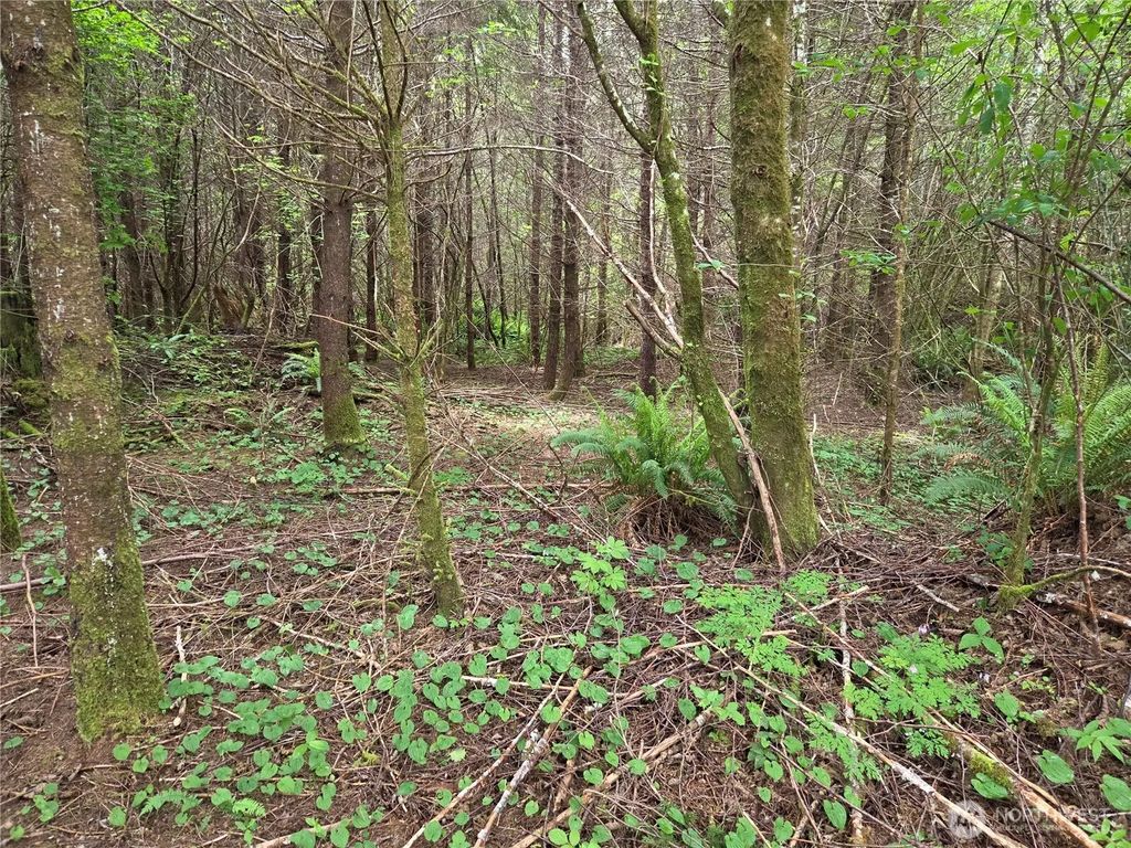 13 Beaver Hill Lane, Montesano