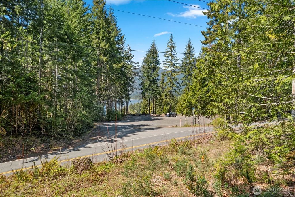 N White Tail Trail, Hoodsport