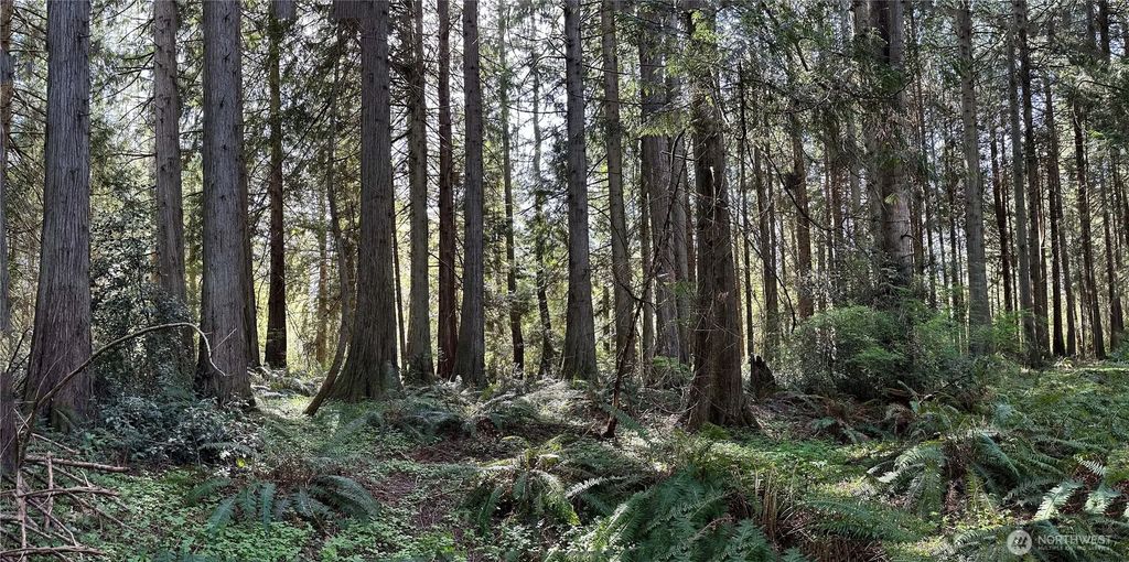0 Lot 31 Nw Lakeness, Poulsbo
