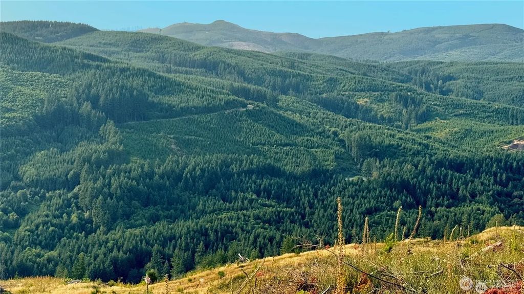 3727 Little Kalama River Road H, Woodland
