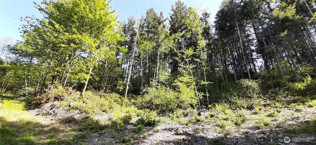 301 Ne Wj Way, Belfair