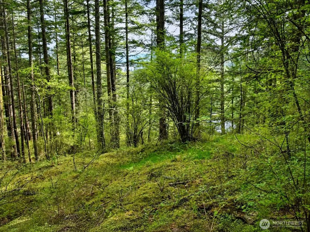 0 Xxx Garden Lane, Orcas Island