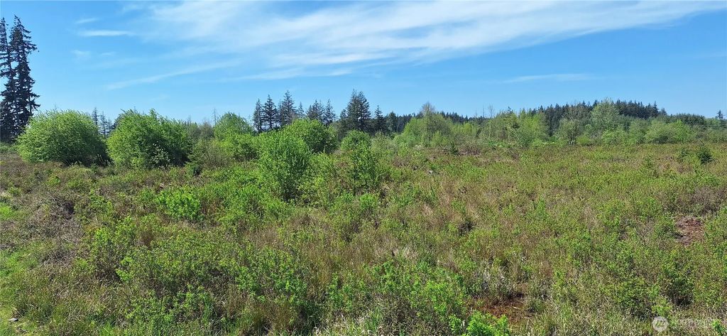 123 Meier Road, Winlock