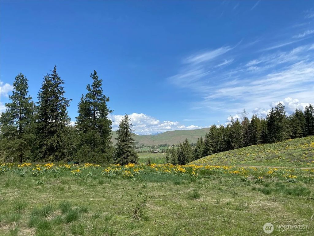 102 Elbow Canyon Road, Twisp